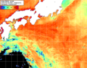 NOAA人工衛星画像:黒潮域, 1日合成画像(2026/08/25UTC)