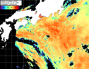 NOAA人工衛星画像:黒潮域, パス=20260825 23:20 UTC