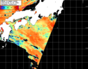 NOAA人工衛星画像:黒潮域, パス=20260826 01:00 UTC