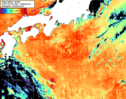 NOAA人工衛星画像:黒潮域, 1日合成画像(2026/08/26UTC)
