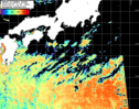 NOAA人工衛星画像:黒潮域, パス=20260827 12:00 UTC