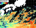 NOAA人工衛星画像:黒潮域, パス=20260829 00:00 UTC