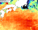 NOAA人工衛星画像:黒潮域, 1日合成画像(2026/08/30UTC)