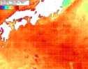 NOAA人工衛星画像:黒潮域, 1週間合成画像(2026/08/25～2026/08/31UTC)