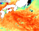 NOAA人工衛星画像:黒潮域, 1日合成画像(2026/09/01UTC)