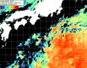 NOAA人工衛星画像:黒潮域, 1日合成画像(2026/09/04UTC)