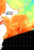 NOAA人工衛星画像:親潮域, パス=20260905 11:00 UTC