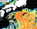NOAA人工衛星画像:黒潮域, パス=20260907 11:30 UTC