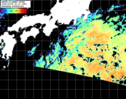 NOAA人工衛星画像:黒潮域, パス=20260908 00:10 UTC