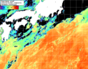 NOAA人工衛星画像:黒潮域, 1日合成画像(2026/09/09UTC)
