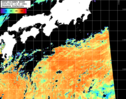 NOAA人工衛星画像:黒潮域, パス=20260910 12:30 UTC