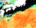 NOAA人工衛星画像:黒潮域, 1日合成画像(2026/09/10UTC)