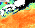 NOAA人工衛星画像:黒潮域, 1日合成画像(2026/09/11UTC)