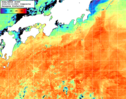 NOAA人工衛星画像:黒潮域, 1日合成画像(2026/09/13UTC)