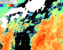 NOAA人工衛星画像:黒潮域, 1日合成画像(2026/09/15UTC)