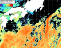 NOAA人工衛星画像:黒潮域, パス=20260917 00:30 UTC