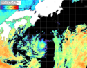 NOAA人工衛星画像:黒潮域, パス=20260930 01:00 UTC