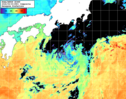 NOAA人工衛星画像:黒潮域, 1日合成画像(2026/09/30UTC)