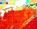 NOAA人工衛星画像:黒潮域, 1日合成画像(2026/10/02UTC)