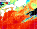 NOAA人工衛星画像:黒潮域, 1日合成画像(2026/10/03UTC)