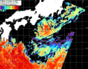 NOAA人工衛星画像:黒潮域, パス=20261004 01:20 UTC
