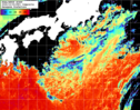 NOAA人工衛星画像:黒潮域, 1日合成画像(2026/10/04UTC)