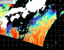 NOAA人工衛星画像:黒潮域, パス=20261005 00:30 UTC