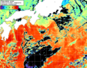 NOAA人工衛星画像:黒潮域, 1日合成画像(2026/10/07UTC)