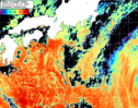 NOAA人工衛星画像:黒潮域, パス=20261012 00:10 UTC
