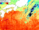 NOAA人工衛星画像:黒潮域, 1日合成画像(2026/10/12UTC)