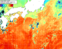 NOAA人工衛星画像:黒潮域, 1日合成画像(2026/10/13UTC)