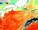 NOAA人工衛星画像:黒潮域, 1日合成画像(2026/10/16UTC)