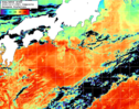 NOAA人工衛星画像:黒潮域, 1日合成画像(2026/10/17UTC)