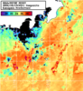 NOAA人工衛星画像:神奈川県近海, 1日合成画像(2026/10/19UTC)