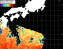 NOAA人工衛星画像:黒潮域, パス=20261019 00:50 UTC
