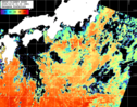 NOAA人工衛星画像:黒潮域, パス=20261019 01:10 UTC