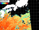 NOAA人工衛星画像:黒潮域, パス=20261019 12:00 UTC