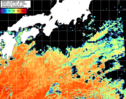 NOAA人工衛星画像:黒潮域, パス=20261019 12:20 UTC