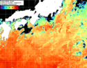 NOAA人工衛星画像:黒潮域, 1日合成画像(2026/10/19UTC)
