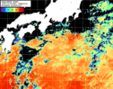 NOAA人工衛星画像:黒潮域, 1日合成画像(2026/10/25UTC)