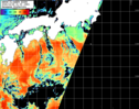 NOAA人工衛星画像:黒潮域, パス=20261028 01:00 UTC