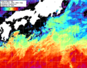 NOAA人工衛星画像:黒潮域, 1週間合成画像(2024/06/25～2024/07/01UTC)