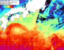 NOAA人工衛星画像:黒潮域, 1週間合成画像(2024/06/28～2024/07/04UTC)