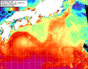NOAA人工衛星画像:黒潮域, 1日合成画像(2024/07/05UTC)