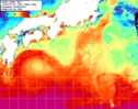 NOAA人工衛星画像:黒潮域, 1週間合成画像(2024/06/29～2024/07/05UTC)