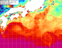 NOAA人工衛星画像:黒潮域, 1週間合成画像(2024/07/05～2024/07/11UTC)
