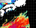 NOAA人工衛星画像:黒潮域, 1日合成画像(2024/07/12UTC)