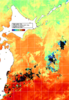 NOAA人工衛星画像:親潮域, 1週間合成画像(2024/07/06～2024/07/12UTC)