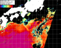 NOAA人工衛星画像:黒潮域, パス=20240716 01:32 UTC