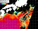 NOAA人工衛星画像:黒潮域, パス=20240716 01:36 UTC